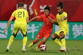 杨巧双强调